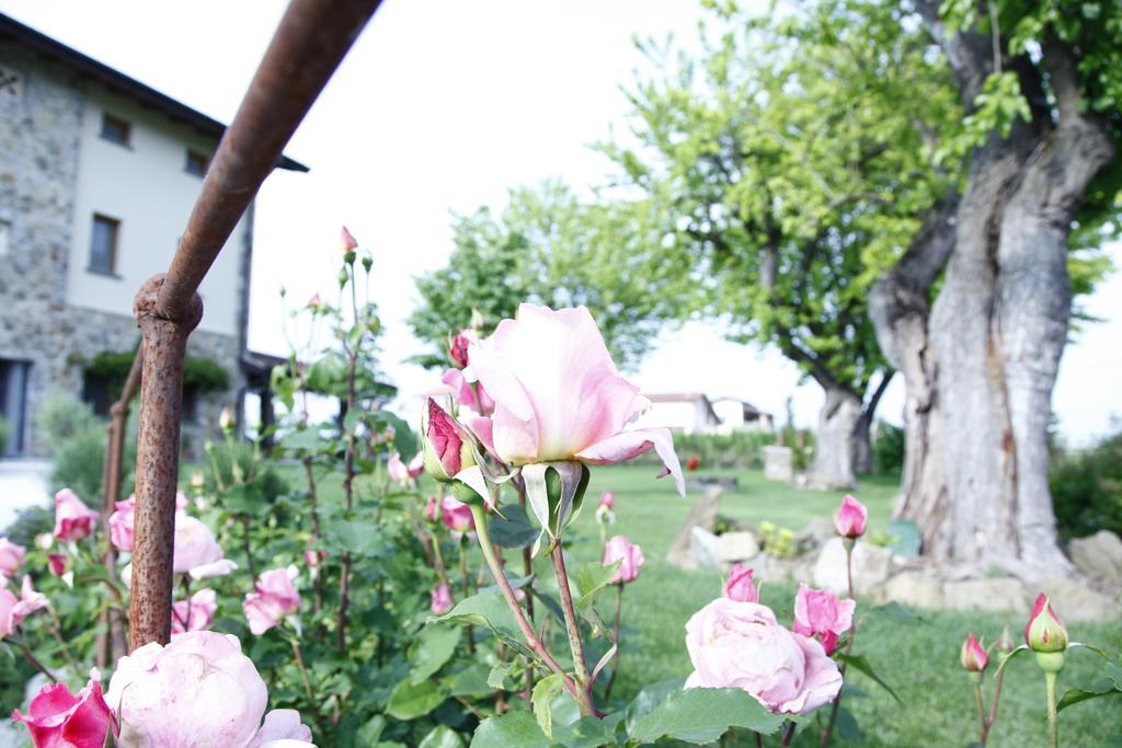 Massoni Bed And Breakfast Peschiera del Garda Exterior foto